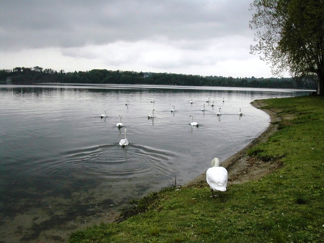 Laghi....della LOMBARDIA